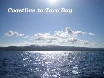 Taco Bay