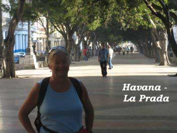Havana La Prada